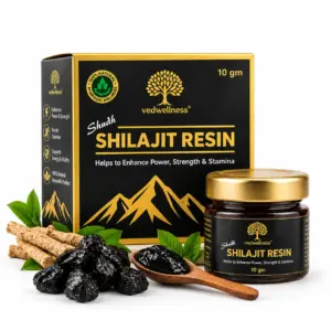 Shudh Shilajit Resin - 10gm