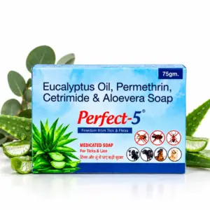 Perfect-5 Medicated Soap – 75 gm